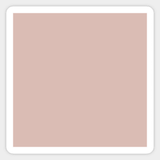 Pink Sand Mix and Match Solid Color Sticker